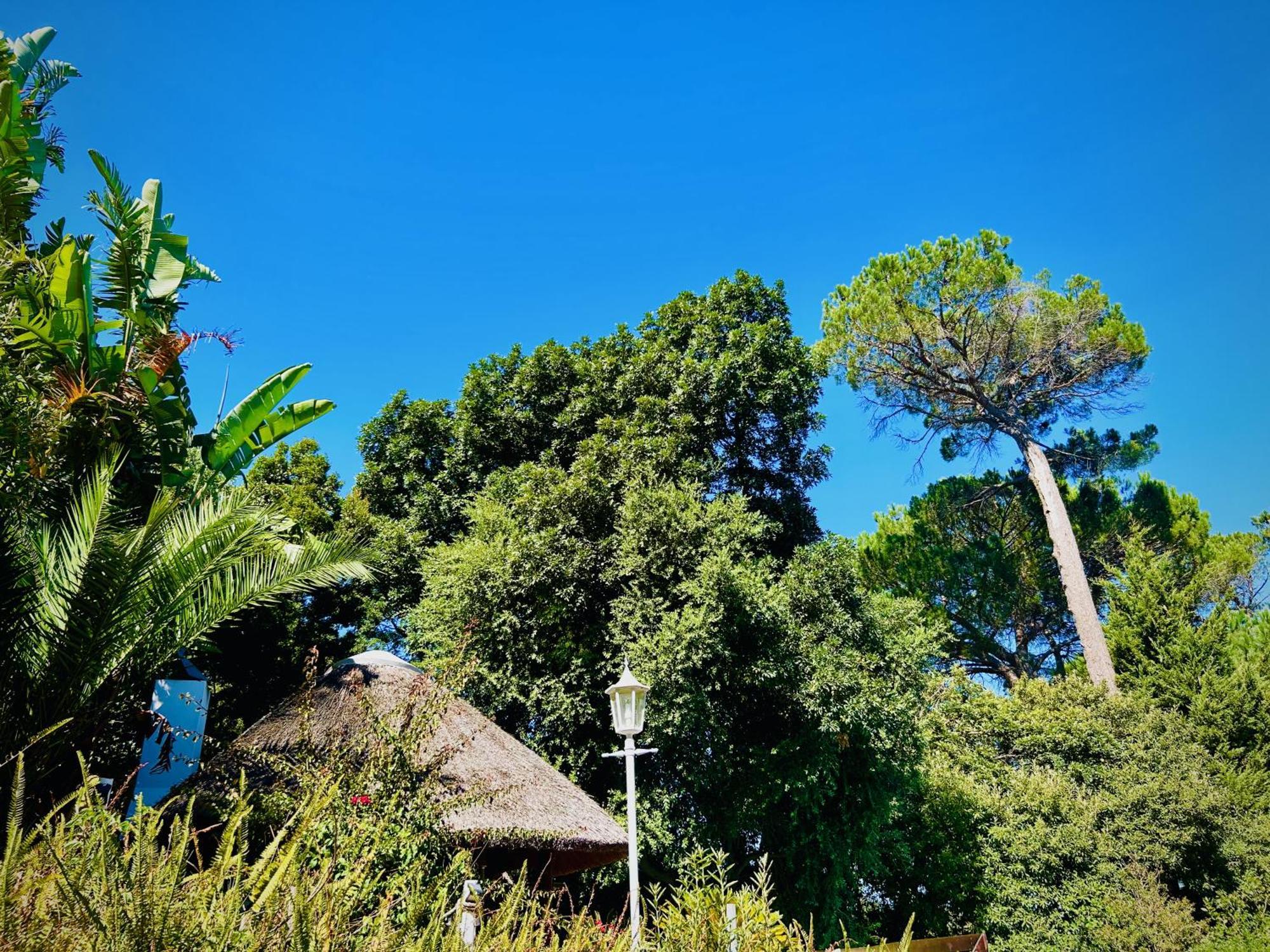 Villa Helderberg Somerset West Exteriér fotografie